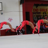 Gymnastic Fantastic